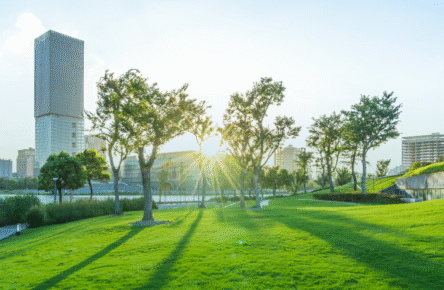 4 Steps to Documenting Your Sustainability Plan